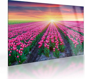 Sklenený obraz poľa tulipánov so slnkom (70x50 cm)