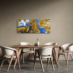 Obraz - Aspen (120x50 cm)