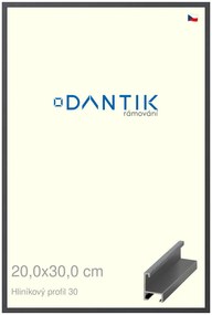 DANTIK rám na obraz 20x30 | ALU Dýha barevná šedá tmavá (Sklo Čiré)