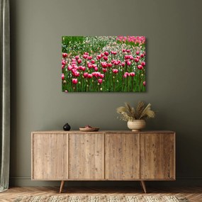 Obraz tulipánov (90x60 cm)