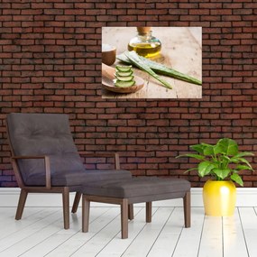 Sklenený obraz - Aloe vera (70x50 cm)