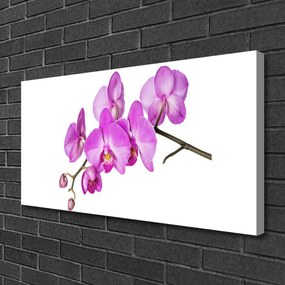 Obraz Canvas Vstavač orchidea kvety 125x50 cm