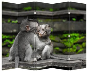 Paraván - Opička (210x170 cm)