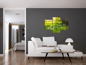 Obraz paseky a kvetín (90x60 cm)