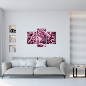 Obraz - Ružová sakura (90x60 cm)