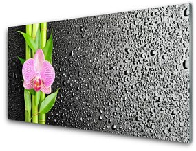 Nástenný panel  Bambus stonky kvet rastlina 125x50 cm