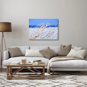 Obraz - Vánok (70x50 cm)