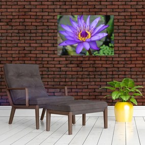 Sklenený obraz - Fialová kvetina (70x50 cm)