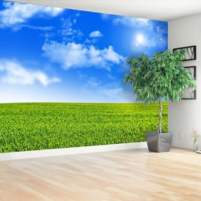 Fototapeta Vliesová Zelená tráva 312x219 cm