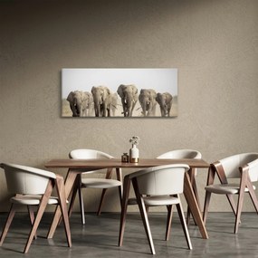 Obraz - Slonie stádo (120x50 cm)
