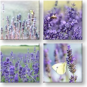 Obraz na stenu Lavender dream