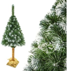 Vianočný stromček na kmeni 180 cm borovica