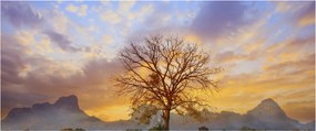 Obraz - Krajina so slnečnicami (120x50 cm)