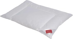 XXXLutz VANKÚŠ, 70/90 cm HEFEL - Prikrývky & vankúše - 004636002801