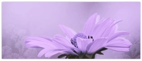 Obraz - Fialový kvet (120x50 cm)