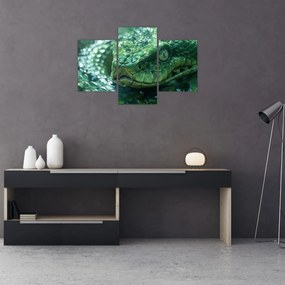 Obraz - Portrét hada (90x60 cm)