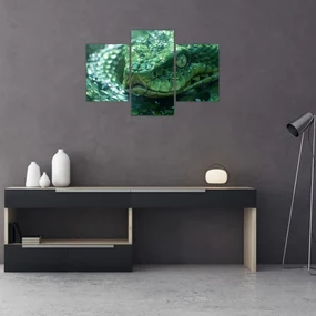 Obraz - Portrét hada (90x60 cm)