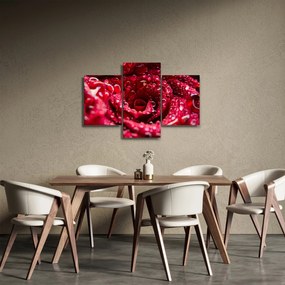 Obraz kvetu červenej ruže (90x60 cm)
