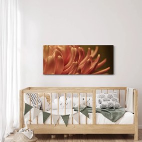 Obraz detailu kvety (120x50 cm)