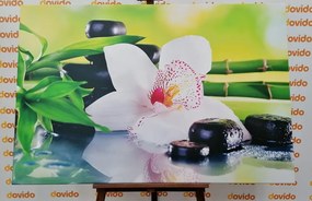 Obraz japonská orchidea