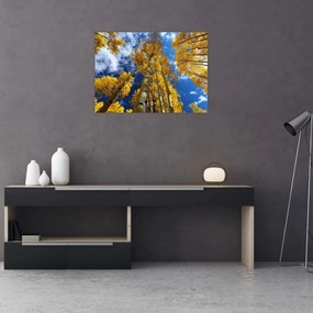 Sklenený obraz - Aspen (70x50 cm)