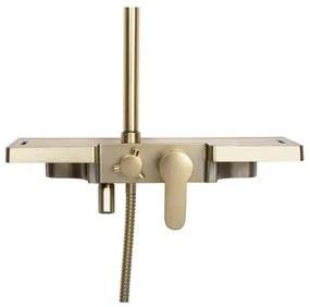 REA-P4121 - Sprchová súprava s batériou BRAVO brúsené zlato