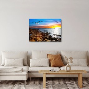 Sklenený obraz - Čajka letiaca nad pobrežím (70x50 cm)