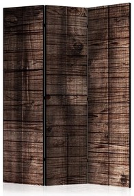 Artgeist Paraván - Dark Brown Boards [Room Dividers]