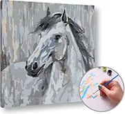 Maľovanie podľa čísel WHITE Pigeon