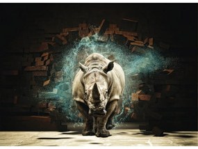 Fototapeta na stenu Rhinoceros