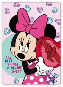DETSKÁ FLEECOVÁ DEKA MINNIE 100X140 CM VZOROVANÁ
