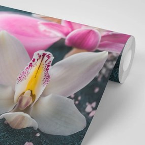 Fototapeta nádherná detailná orchidea - 225x150
