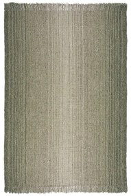 Zelený koberec 200x290 cm – Flair Rugs