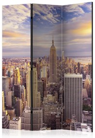 Artgeist Paraván - New York Morning [Room Dividers]