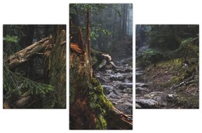 Obraz - V lese (90x60 cm)