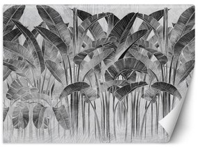 Fototapeta, Banánové listy černá a bílá - 300x210 cm
