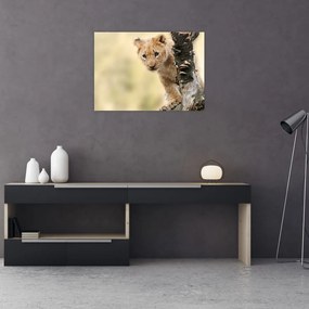 Sklenený obraz levíčaťa (70x50 cm)