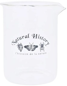 Sklenená váza (výška 12 cm) Natural History – Esschert Design