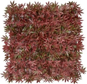 MI Panel farebných rastlín červený javor (50x50cm)