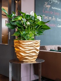 Luxe Lite Glossy Sea gold 33x26 cm