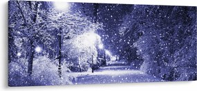 Obraz - Čarovná zimná noc (120x50 cm)