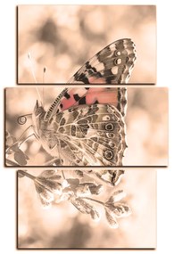 Obraz na plátne - Motýľ na levandule - obdĺžnik 7221FC (105x70 cm)