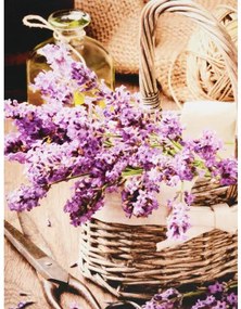 Obraz tlačený na plátne 30x40 PRC1070