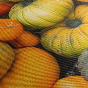 Obraz - Jesenná tekvica (90x60 cm)