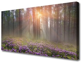 Obraz na plátne Les kvety rastlina príroda 125x50 cm