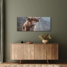 Obraz - Highlander krava (120x50 cm)
