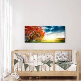 Obraz krajiny zaliate slnečným svitom (120x50 cm)