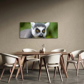 Obraz lemura (120x50 cm)