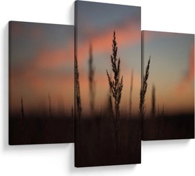 Obraz - Silueta rastliny (90x60 cm)