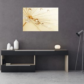 Obraz - Makro fotografie púpavy (90x60 cm)